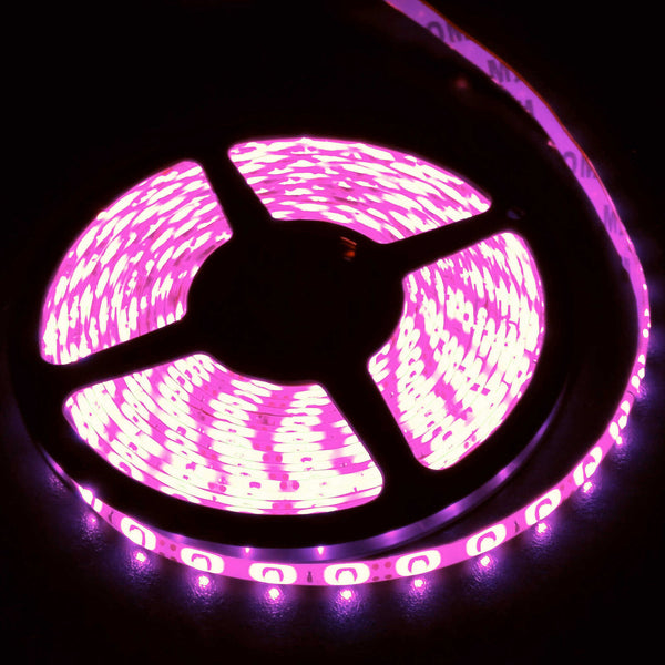 Waterproof Pink 12V 5M 2835 SMD 300 LED Led Strip Lights