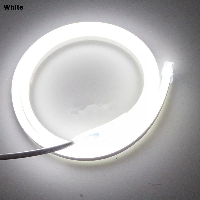 5M 2835 Led Neon Flex lights 12Vdc light strip flexible IP67