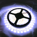 Waterproof Cool White 12V 5M 5050 SMD 300 LED Led Strip Lights 6500K - TRYPER LED LIGHTING