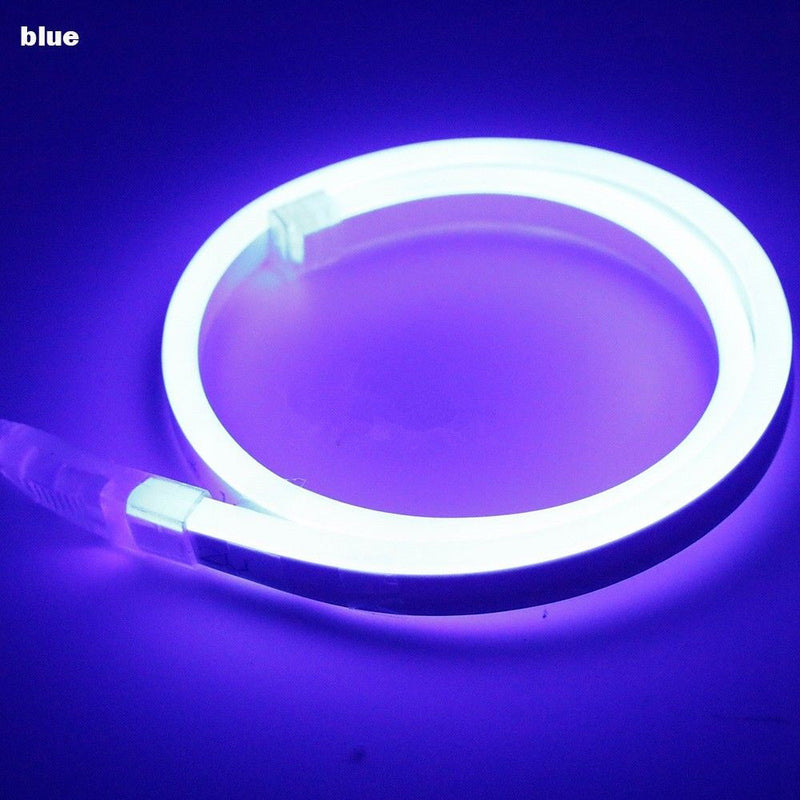 5M 2835 Led Neon Flex lights 12Vdc light strip flexible IP67