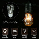 Festoon String Lights Vintage Retro - TRYPER LED LIGHTING