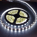 DC 24V 5050 SMD Cool White 5M 300Leds LED Strips Led Strip Lights - TRYPER LED LIGHTING