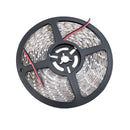 Waterproof 12V Cool White 5M 3528 SMD 300 LED Strips Led Strip Lights - TRYPER LED LIGHTING