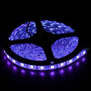 Waterproof UV 12V 5M 5050 SMD 300 LED Led Strip Lights - TRYPER LED LIGHTING