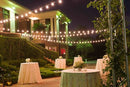 Festoon String Lights Vintage Retro - TRYPER LED LIGHTING