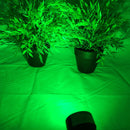 Waterproof 12V 5W COB LED Outdoor Garden Spotlights - TRYPER LED LIGHTING