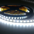 12V DC 5M 2835 SMD 600  Cool White  Led Strip Light - TRYPER LED LIGHTING