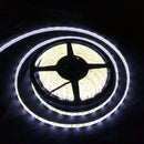 Waterproof 12V Cool White 5M 3528 SMD 300 LED Strips Led Strip Lights - TRYPER LED LIGHTING