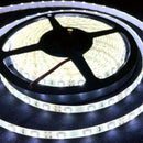 Waterproof 12V Cool White 5M 3528 SMD 300 LED Strips Led Strip Lights - TRYPER LED LIGHTING