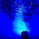 Waterproof 12V 5W COB LED Outdoor Garden Spotlights - TRYPER LED LIGHTING