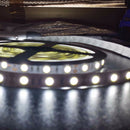 DC 24V 5050 SMD Cool White 5M 300Leds LED Strips Led Strip Lights - TRYPER LED LIGHTING