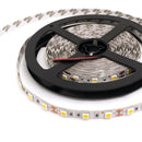 5050 SMD Warm White 5M 300Leds LED Strips Strip Light - TRYPER LED LIGHTING