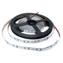 DC 24V5M 2835 600 LEDS Cool White SMD LED Strips Led Strip Lights - TRYPER LED LIGHTING