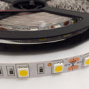 5050 SMD Natural White 5M  300 LED Flexible 12V Led Strip Lights 4000K - TRYPER LED LIGHTING