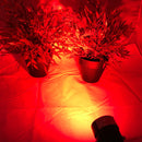 Waterproof 12V 5W COB LED Outdoor Garden Spotlights - TRYPER LED LIGHTING